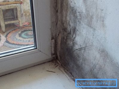 Нярадасны карціна, ці не праўда? Нярадасны карціна, ці не праўда?