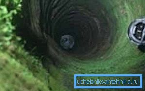 Што рабіць, калі ў калодзежы мутная вада, а па баках суцэльная зеляніна травы - абавязкова ўсё чысціць