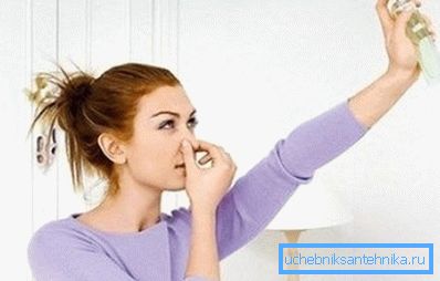 Для барацьбы з непрыемнымі пахамі ў прыбіральні можна выкарыстоўваць самаробныя асвяжальнікі паветра Для барацьбы з непрыемнымі пахамі ў прыбіральні можна выкарыстоўваць самаробныя асвяжальнікі паветра