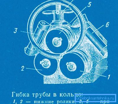 У кольца У кольца