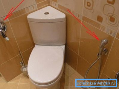 Гігіенічны тып душа. Гігіенічны тып душа.