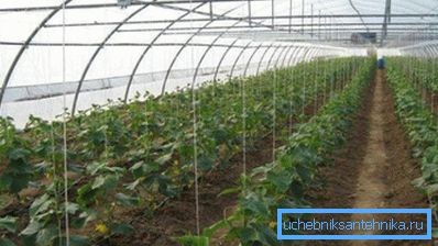 Выкарыстоўваная сістэма абагравання выбіраецца зыходзячы з плошчы агратэхнічнага збудаванні