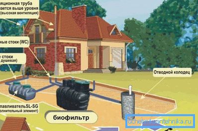 1136 Як правільна размясціць сэптык