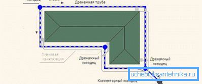 кальцавой