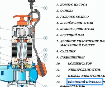 канструктыўныя адрозненні