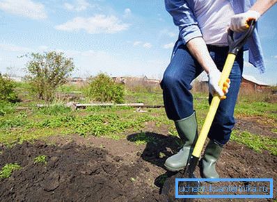 1153 Месца для выграбной ямы выбралі ў агародзе