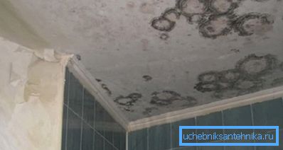 На фота - наступствы адсутнасці вентыляцыі (трэба меркаваць, пах адпаведны) На фота - наступствы адсутнасці вентыляцыі (трэба меркаваць, пах адпаведны)