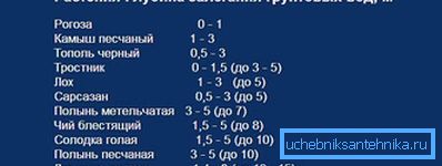 Наяўнасць раслін падкажа глыбіню залягання ваданоснага пласта Наяўнасць раслін падкажа глыбіню залягання ваданоснага пласта