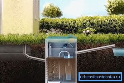 Апісанне працы сэптыка