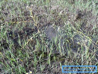 1200 Глеба не ўбірае ваду