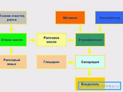 Атрыманне біядызель з рапсу. Атрыманне біядызель з рапсу.