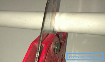 Пашкоджаную вобласць выразаюць. Пашкоджаную вобласць выразаюць.