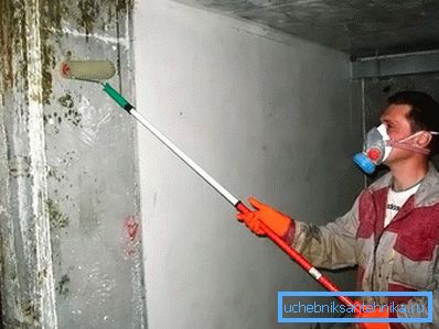 Прычыны з'яўлення з'яўлення і прыхаваная небяспека цвілі Прычыны з'яўлення з'яўлення і прыхаваная небяспека цвілі