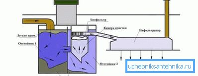 Прынцып працы сэптыкаў