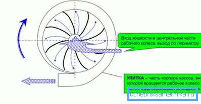 Прынцып працы цэнтрабежных помпаў.