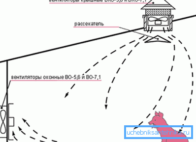 Прымусовая вентыляцыя ў свінарніку сваімі рукамі Прымусовая вентыляцыя ў свінарніку сваімі рукамі