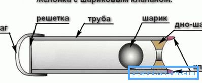 разнавіднасць желонки