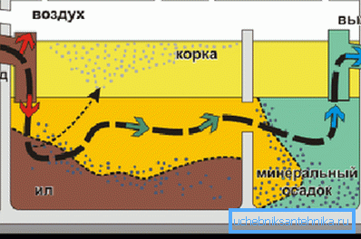 Схема руху сцёкаў па анаэробных Сэптык Схема руху сцёкаў па анаэробных Сэптык