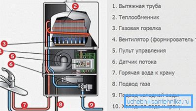 схема калонкі