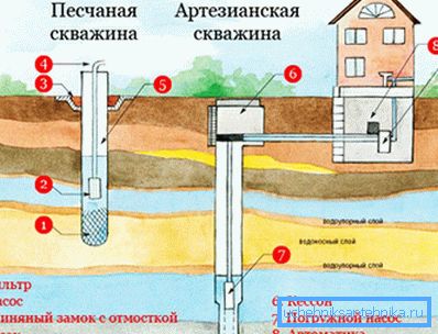 Свідравіны на прысядзібным участку