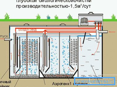 Станцыя біялагічнай ачысткі