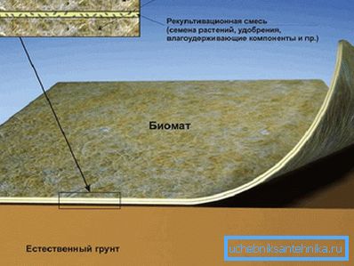 1207 структура биомата
