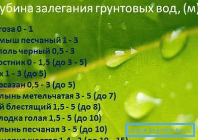 Табліца глыбіні залягання грунтавых вод у метрах у залежнасці ад якія растуць на паверхні раслін Табліца глыбіні залягання грунтавых вод у метрах у залежнасці ад якія растуць на паверхні раслін