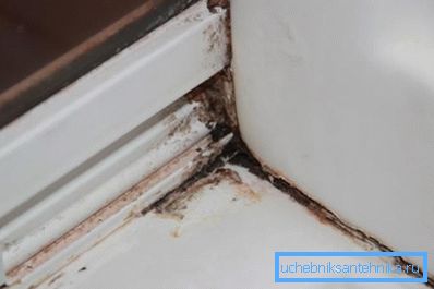 Цёмны грыбок ў душавой кабіне Цёмны грыбок ў душавой кабіне