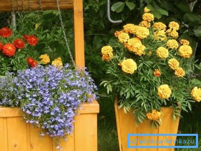 Кветкавая клумба ў калодзежы