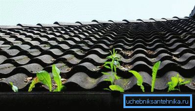 900 У жолабе назапасілася бруд