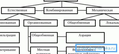 вентыляцыйнае дрэва