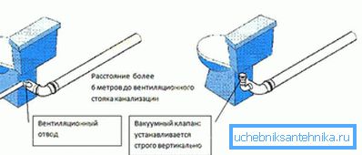 разнавіднасці