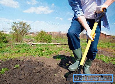 1241 Выбрана месца для ўстаноўкі