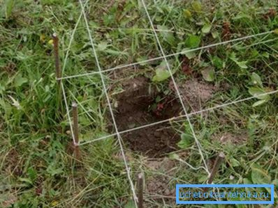 Выконваем разметку і капаем ямкі.