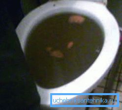 Засмечваючы ўнітаз трэба прачышчаць як мага хутчэй Засмечваючы ўнітаз трэба прачышчаць як мага хутчэй